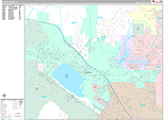 Lake Elsinore  Wall Map Premium Style